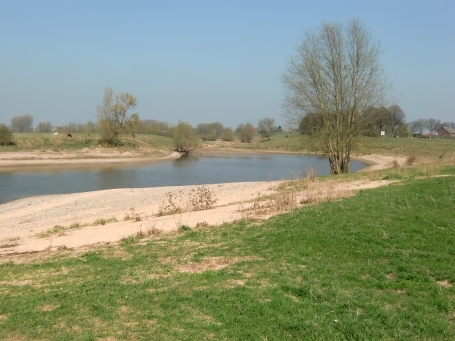 Wesel-Bislich : Marwick, Rheinaue